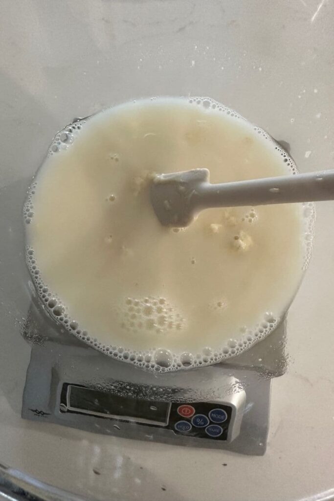 Water, sourdough starter and sugar that has been mixed together in a glass bowl. There is a also a white jar spatula in the bowl that has been used to stir it.