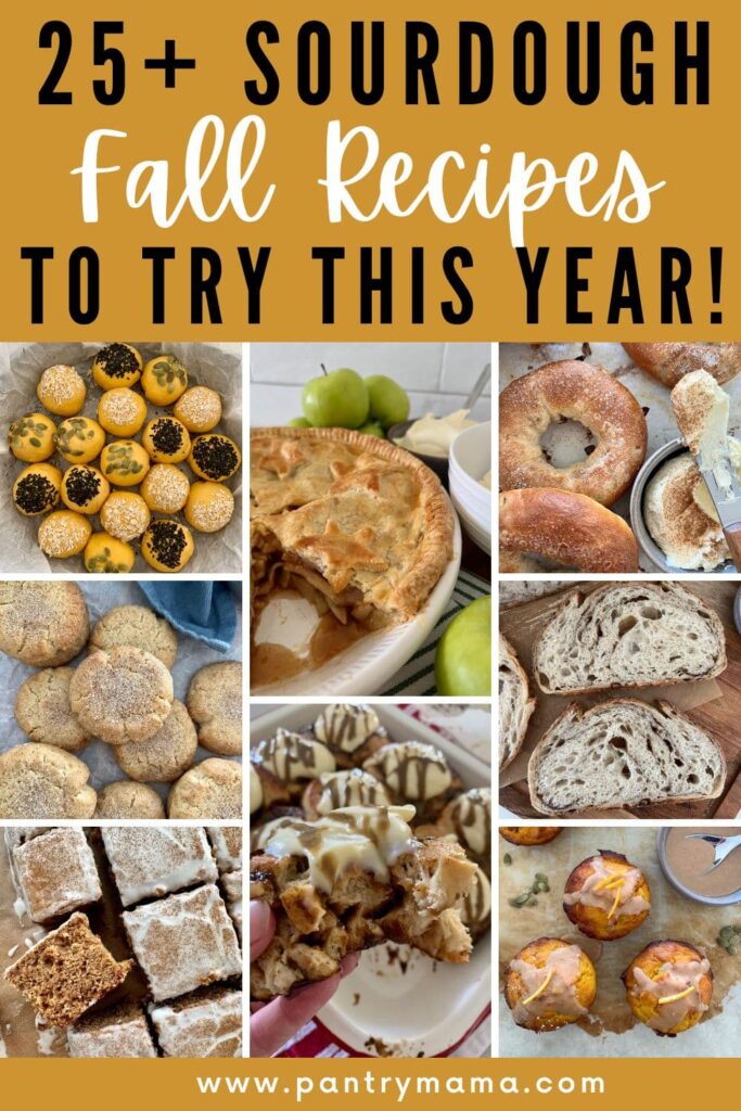 Best Sourdough Fall Recipes - Pinterest Image