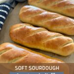 Sourdough Sandwich Rolls - Pinterest Image