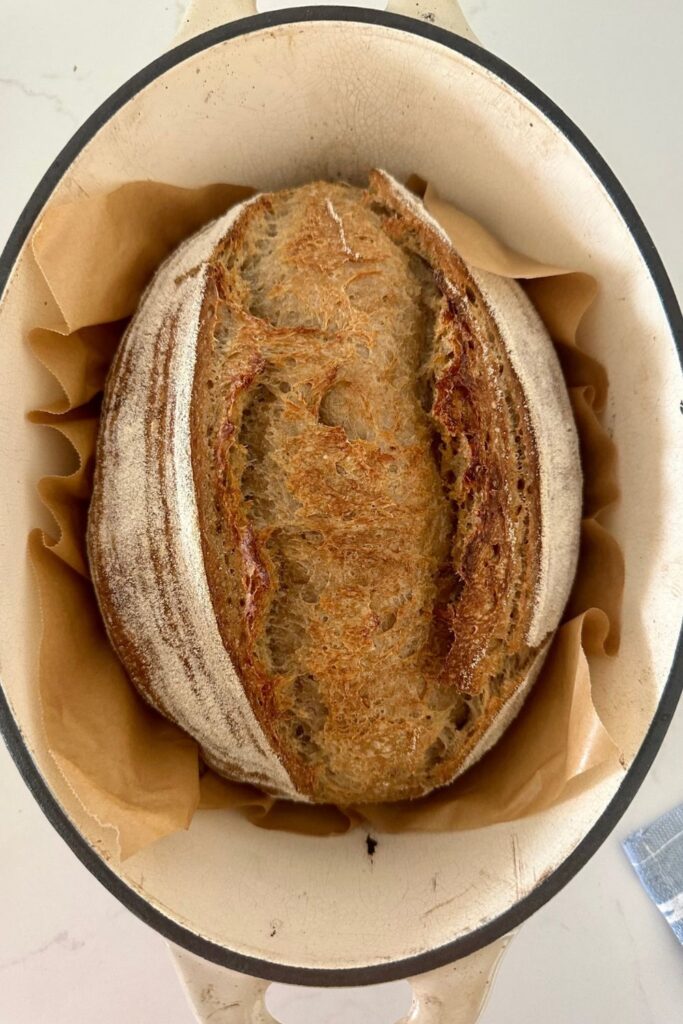 https://www.pantrymama.com/wp-content/uploads/2023/08/SOURDOUGH-COUNTRY-LOAF-8-683x1024.jpg