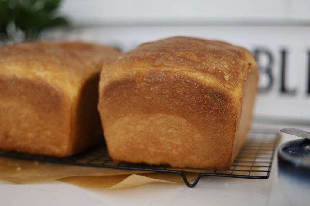 2 loaves of white sourdough sandwich bread that have not been cut. They are sitting on a black wire cooling rack.