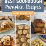 BEST SOURDOUGH PUMPKIN RECIPES - PINTEREST IMAGE