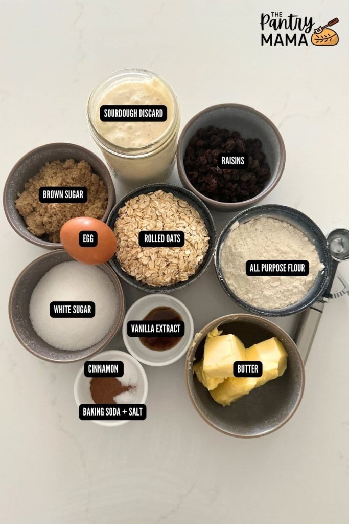 A flat lay of ingredients necessary to make sourdough discard oatmeal raisin cookies.