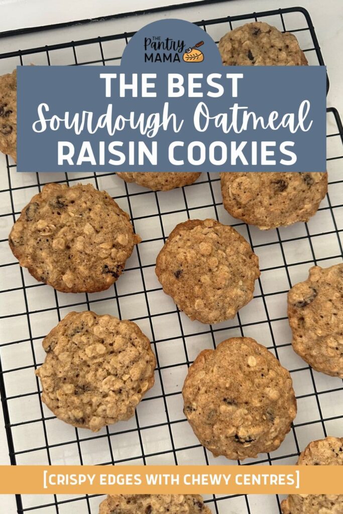 SOURDOUGH OATMEAL RAISIN COOKIES - PINTEREST IMAGE