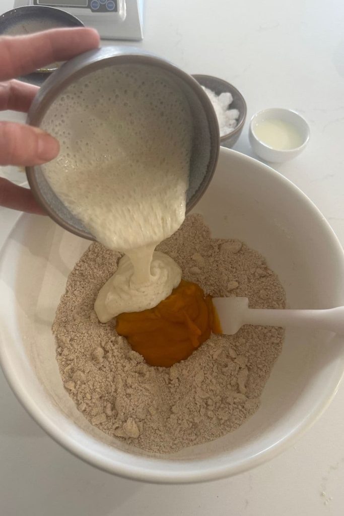 A bowl of sourdough starter being poured on top of the dry ingredients and pumpkin puree in a large mixing bowl.