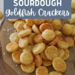 SOURDOUGH GOLDFISH CRACKERS - PINTEREST IMAGE