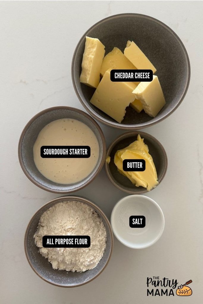 Flat lay of ingredients used to make sourdough goldfish crackers.