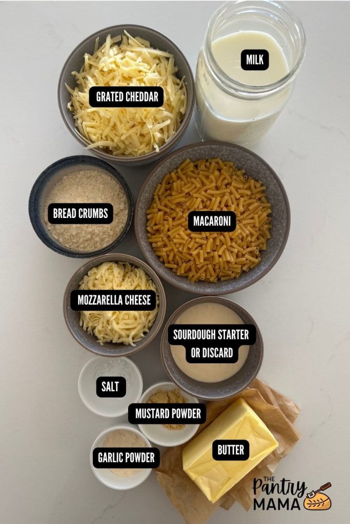 Flat lay of ingredients used to make sourdough mac and cheese.