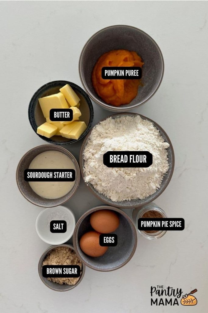 Flat lay of ingredients required to make sourdough pumpkin babka.
