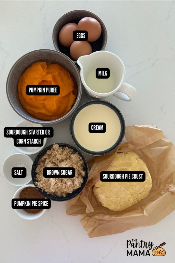 Flat lay of ingredients used to make sourdough pumpkin pie.