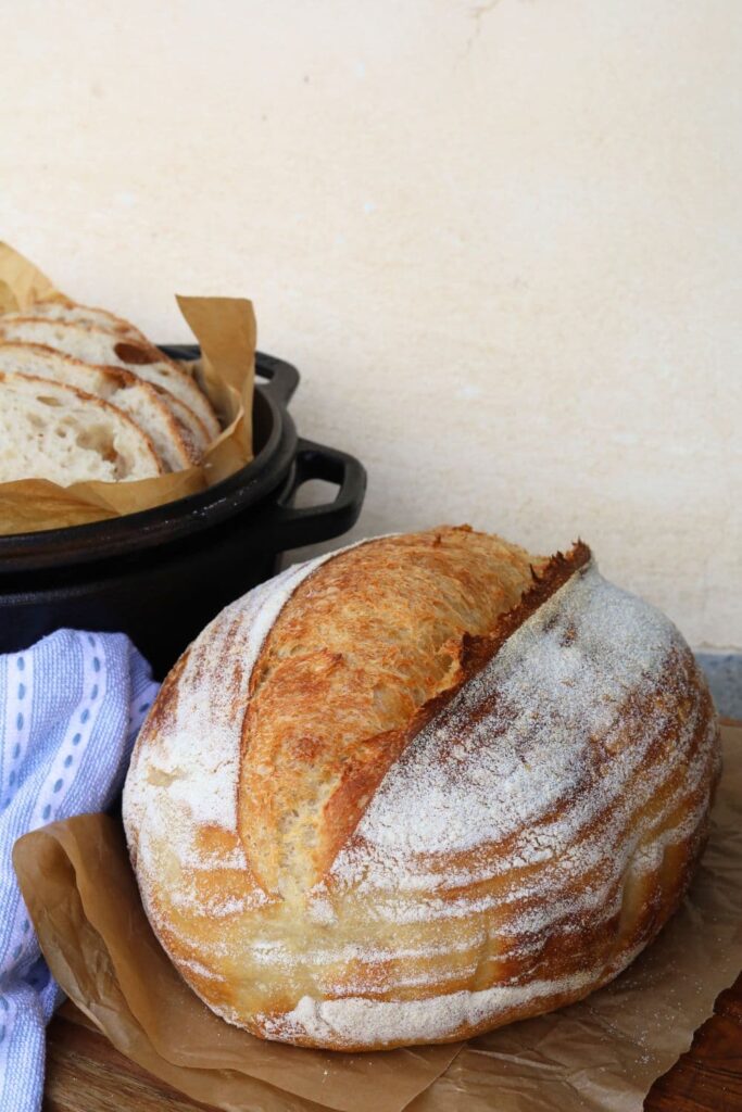 High hydration sourdough bread loaf sitting in front of a Lodge Cast Iron Dutch Oven with another loaf sliced up inside the lid. There is also a light blue dish towel in the photo.