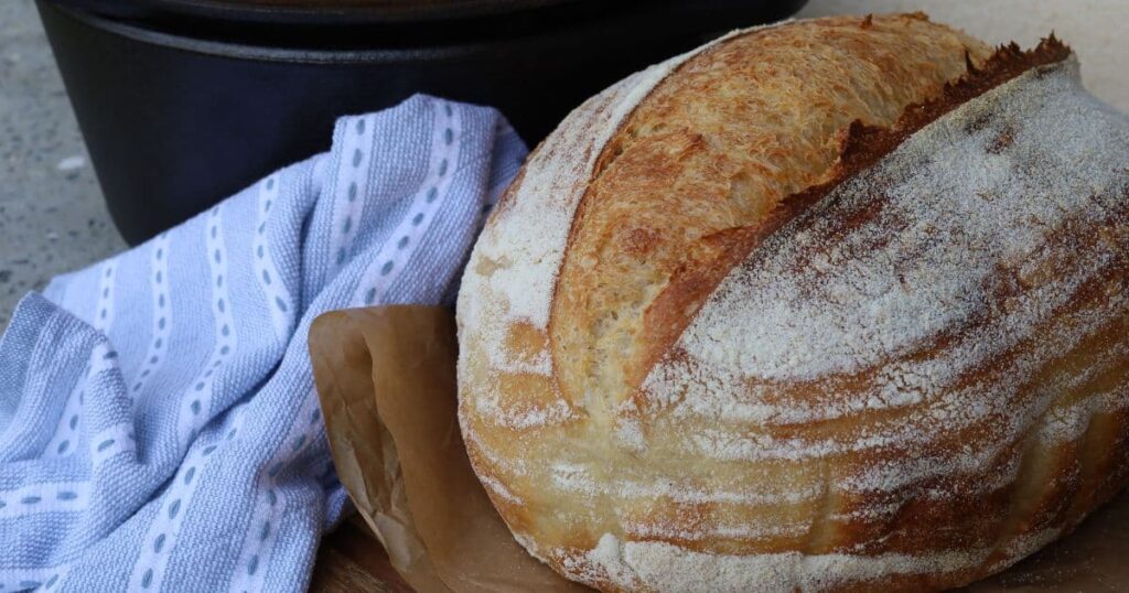 High hydration sourdough bread loaf sitting in front of a Lodge Cast Iron Dutch Oven with another loaf sliced up inside the lid. There is also a light blue dish towel in the photo.