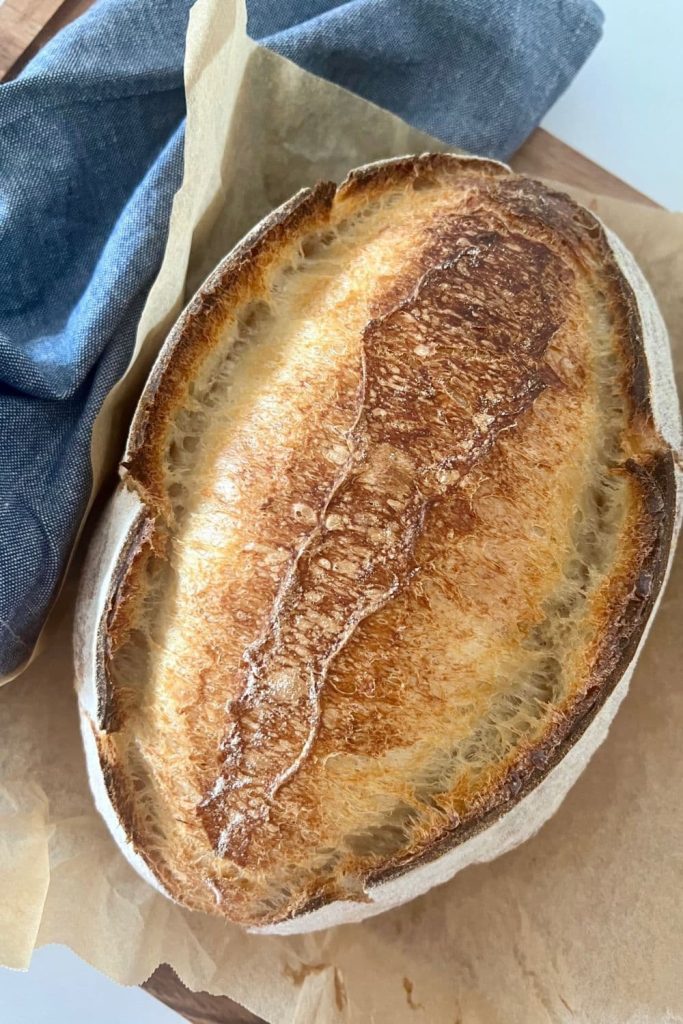 A photo showing what the perfect loaf of sourdough looks like with a large round belly, sourdough ears and light, crispy crust.