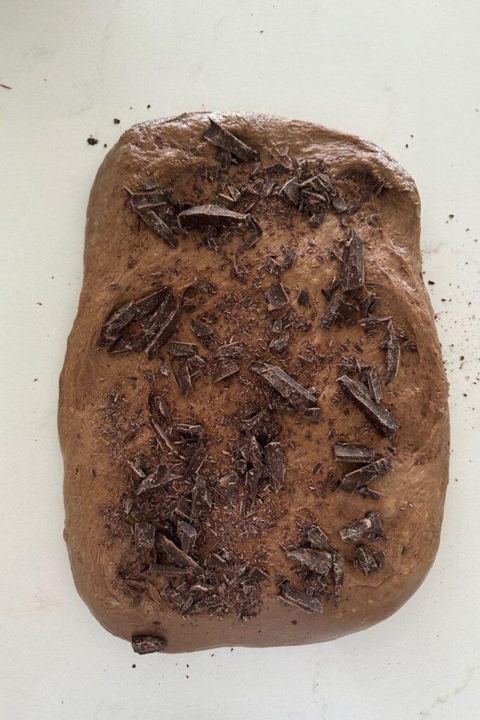 Chocolate sourdough bread dough set out in a rectangle and sprinkled with chopped semi sweet chocolate.