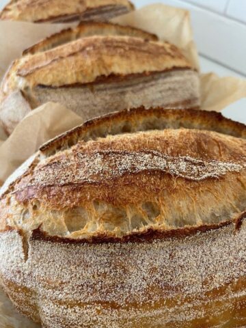 3 loaves of crusty sourdough bread sitting in a row. Each loaf has some parchment paper around it.