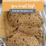 8 SOURDOUGH EXPERIMENTS YOU MUST TRY - PINTEREST IMAGE