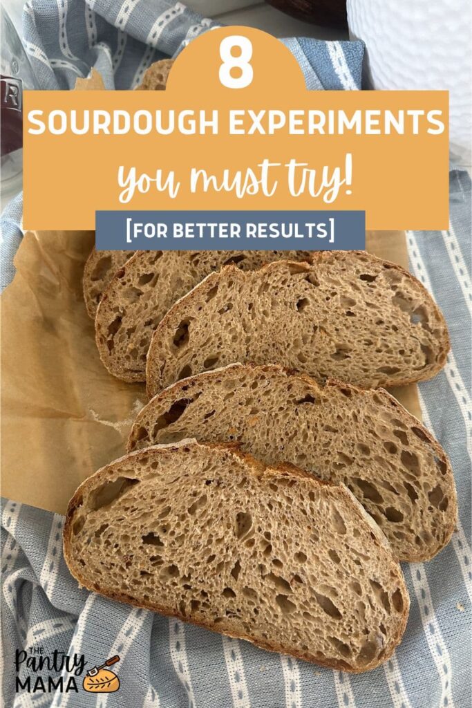 8 SOURDOUGH EXPERIMENTS YOU MUST TRY - PINTEREST IMAGE