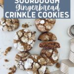 SOURDOUGH GINGERBREAD CRINKLE COOKIES - PINTEREST IMAGE