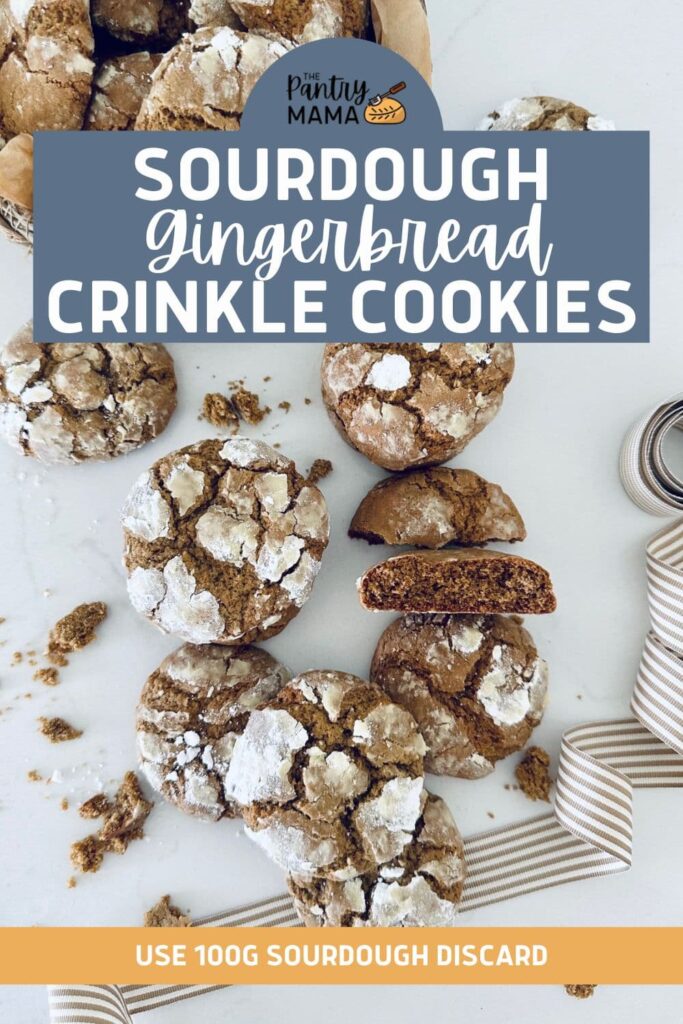 SOURDOUGH GINGERBREAD CRINKLE COOKIES - PINTEREST IMAGE