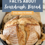 20 FACTS ABOUT SOURDOUGH BREAD - PINTEREST IMAGE