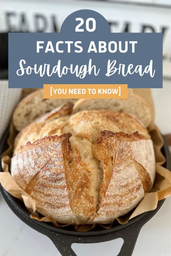 20 FACTS ABOUT SOURDOUGH BREAD - PINTEREST IMAGE