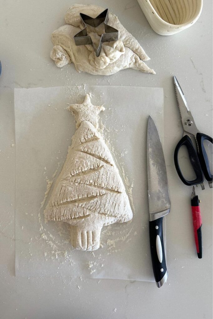 A photo of a Christmas Tree Sourdough Bread that has been scored and is about to be placed into the oven. You can also see the tools which were used to create the loaf in the photo.