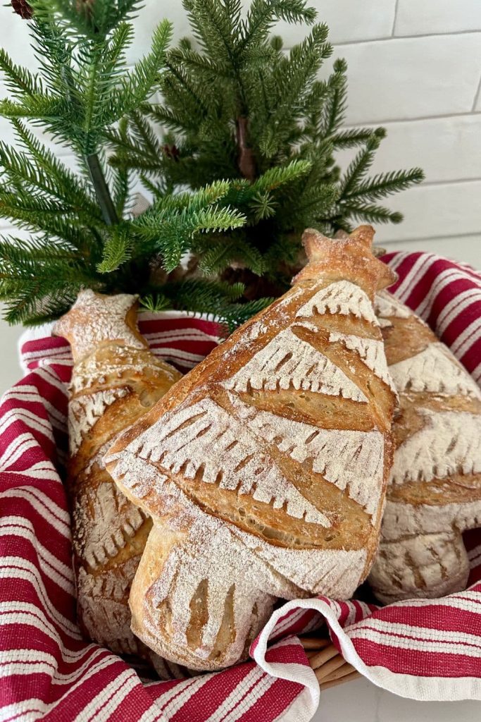3 loaves of Christmas Tree Shaped Sourdough Bread arranged in a basket lined with a red and white dish towel. There are some green Christmas trees behind the bread.