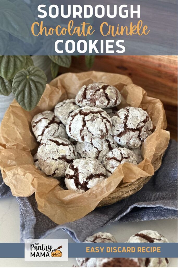 SOURDOUGH CHOCOLATE CRINKLE COOKIES - PINTEREST IMAGE