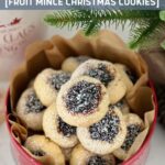 SOURDOUGH CHRISTMAS COOKIES - PINTEREST IMAGE