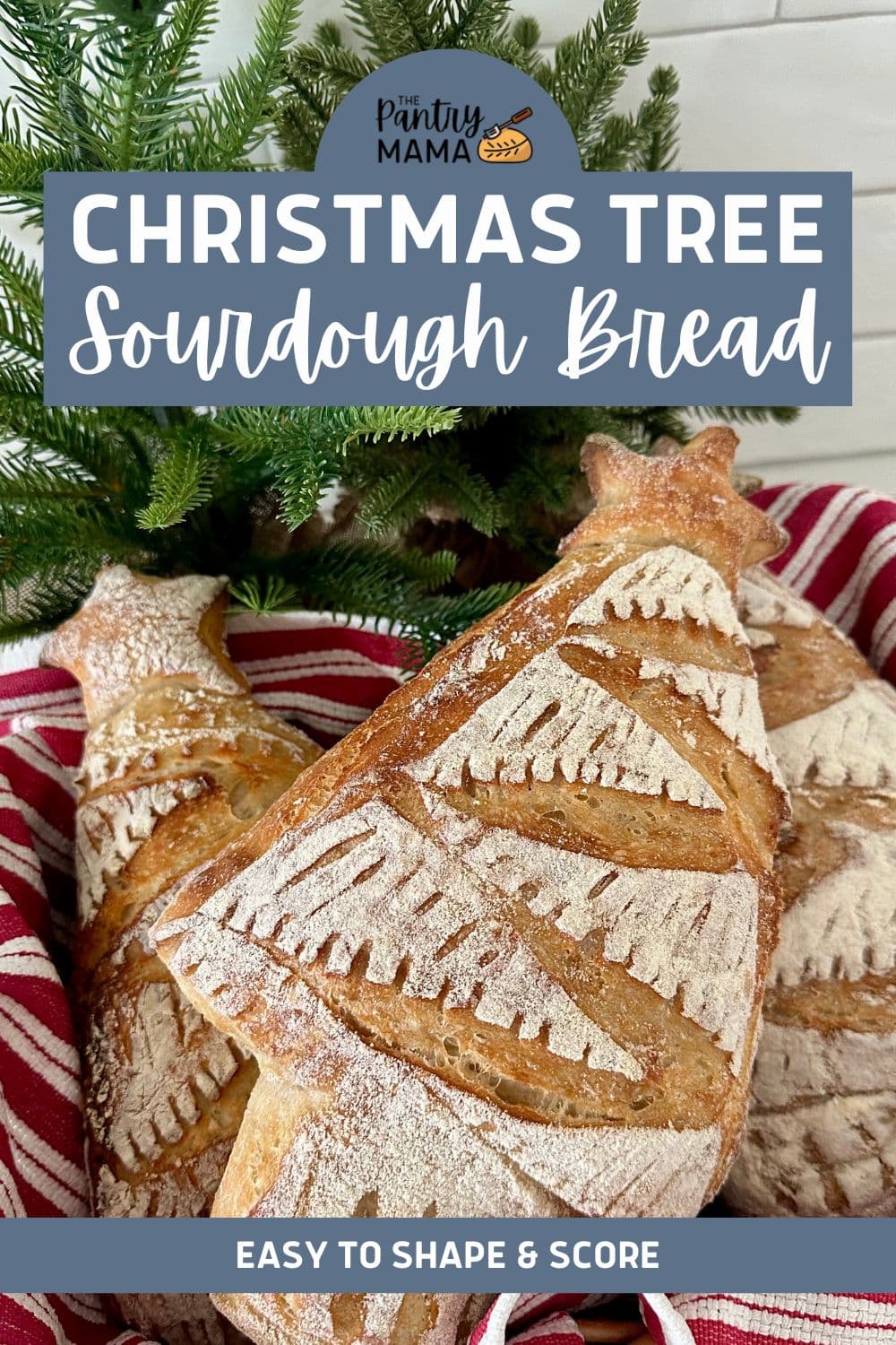 How To Shape A Christmas Tree Sourdough Bread [Easy Scoring] - The