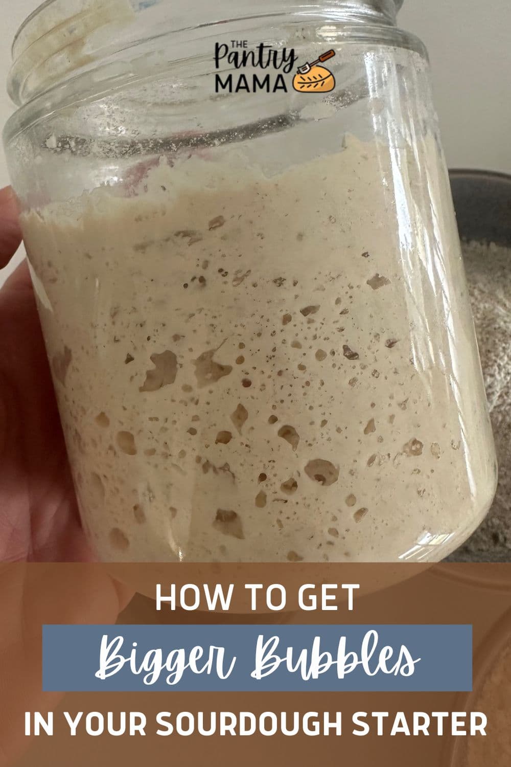 How To Get Bigger Bubbles In Your Sourdough Starter The Pantry Mama