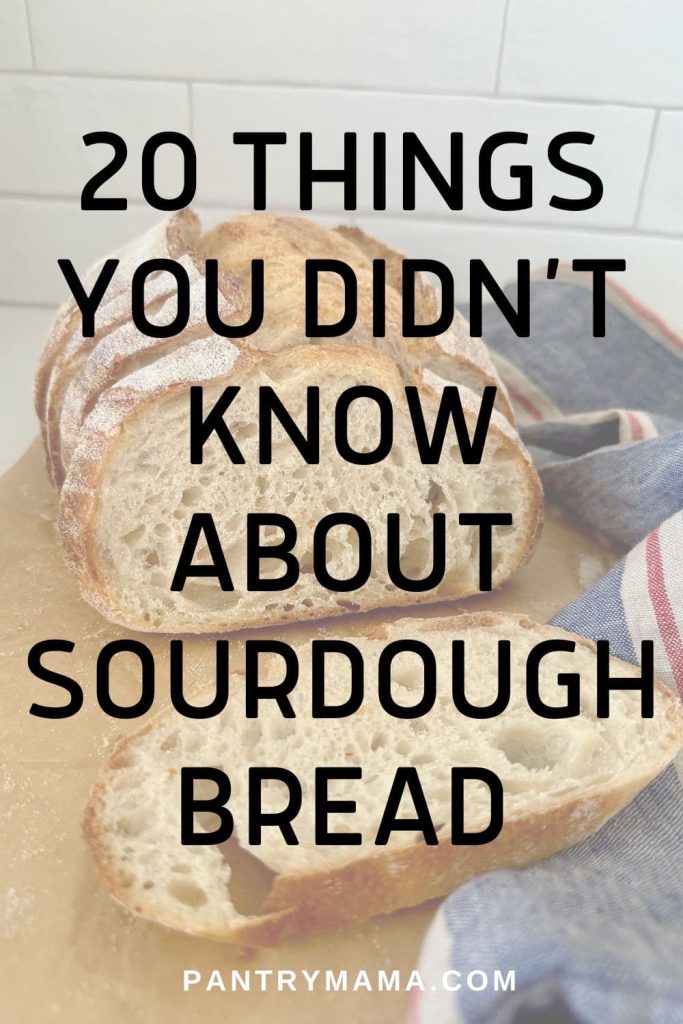 20 THINGS YOU DIDN'T KNOW ABOUT SOURDOUGH STARTER - PINTEREST IMAGE