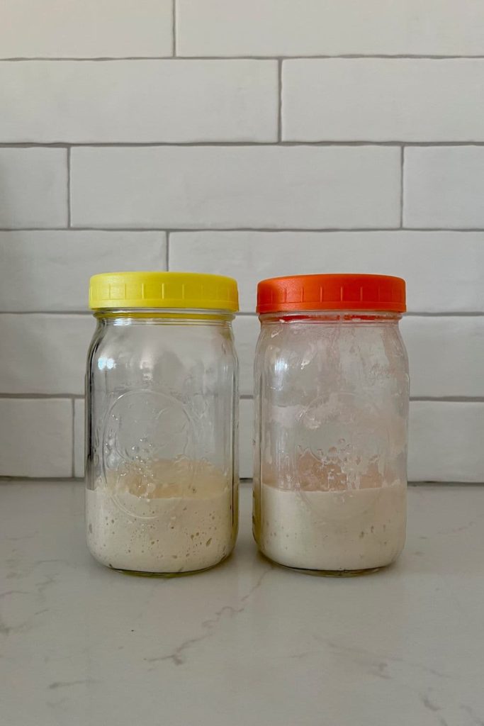 Two mason jars sitting side by side. Each is half full of sourdough starter. One has a yellow lid and one has an orange lid.
