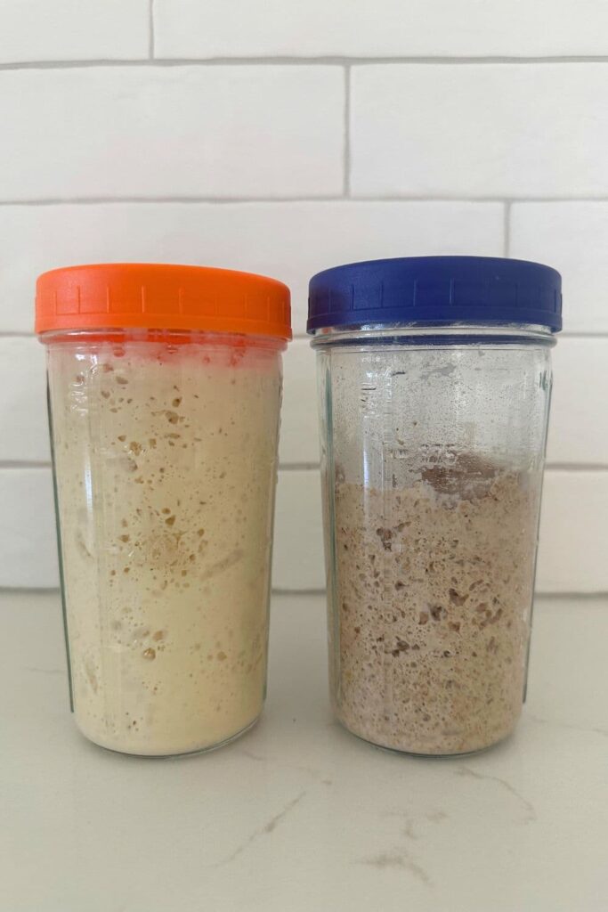 Two jars of sourdough starter next to each other on a white counter. The jar on the left contains a white sourdough starter with an orange lid. The jar on the right is a rye sourdough starter with a dark blue lid.