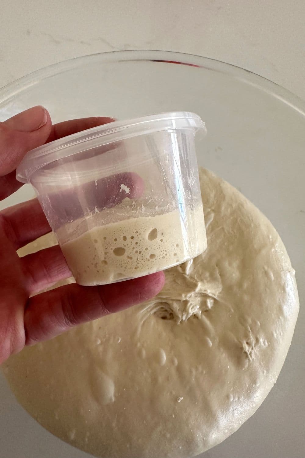 Weirdest sourdough questions answered the pantry mama