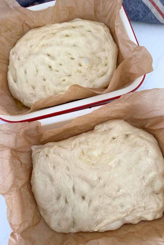 Sourdough cinnamon roll focaccia dough split across two red edged enamel trays.