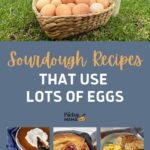 SOURDOUGH RECIPES THAT USE LOTS OF EGGS - PINTEREST IMAGE