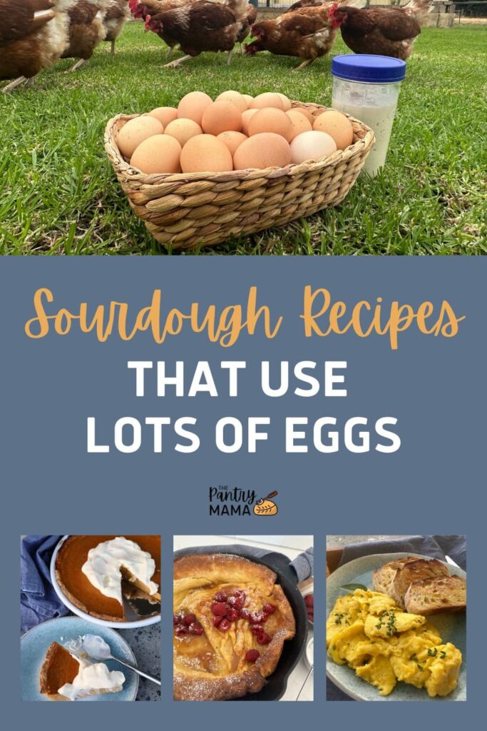 SOURDOUGH RECIPES THAT USE LOTS OF EGGS - PINTEREST IMAGE