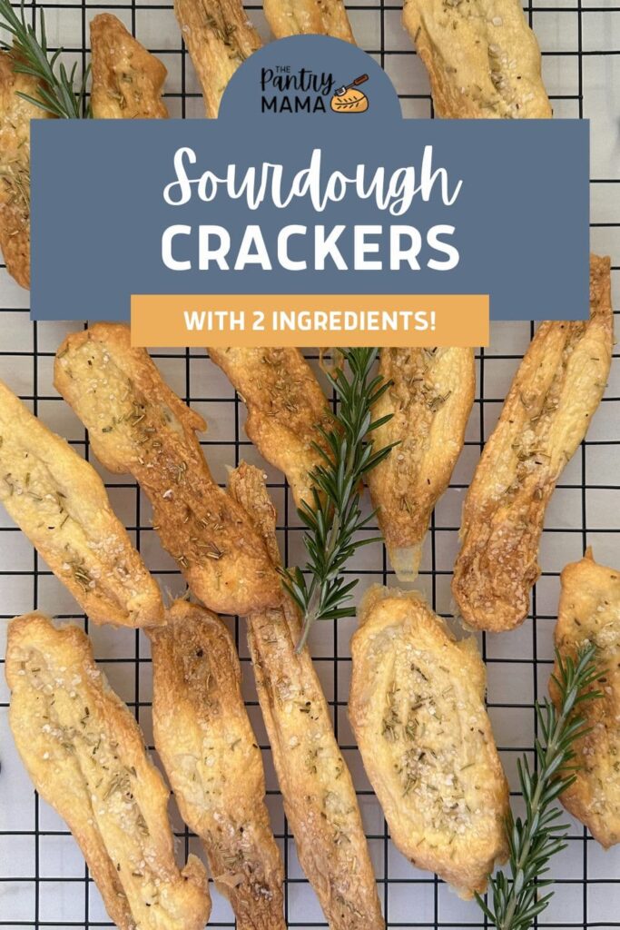 2 Ingredient Sourdough Crackers - Pinterest Image