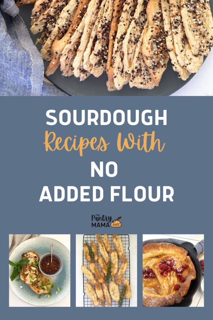 SOURDOUGH RECIPES WITH NO ADDED FLOUR - PINTEREST IMAGE