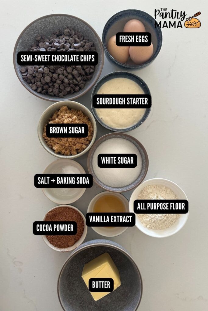 Flat lay of ingredients used to make chocolate sourdough brownie bites.