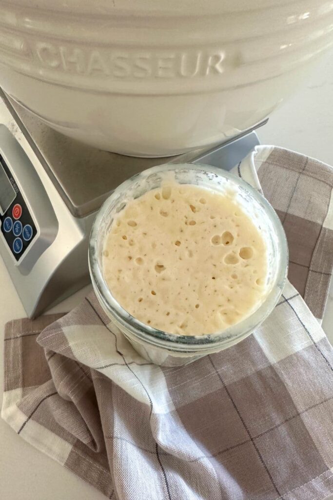 Jar of active sourdough starter sitting on a checked fabric napkin. You can see a digital scale in the background of the photo.