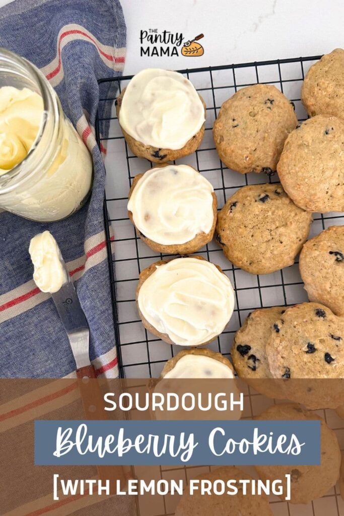 SOURDOUGH BLUEBERRY COOKIES - PINTEREST IMAGE