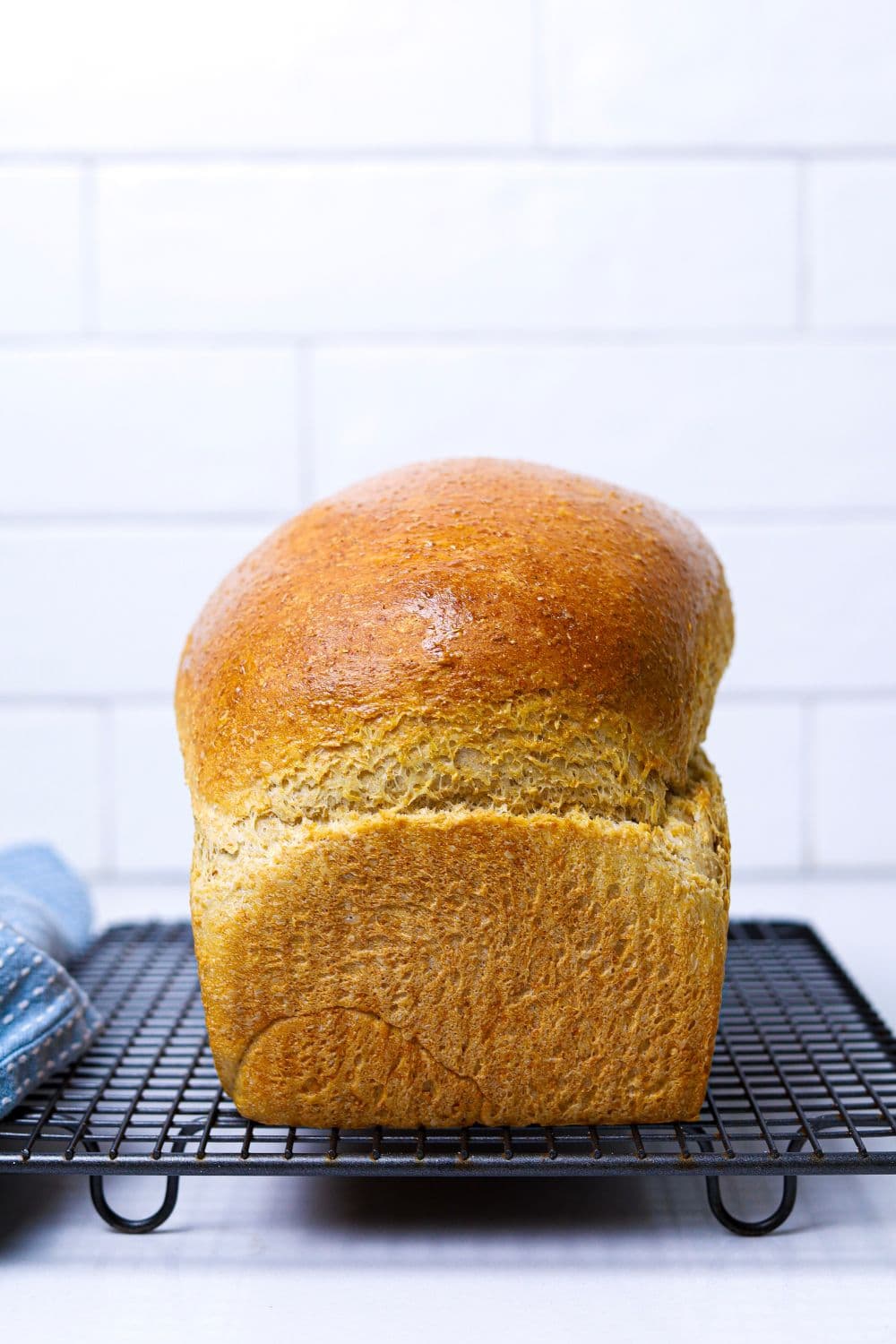 whole-wheat-sourdough-bread-recipe-the-pantry-mama