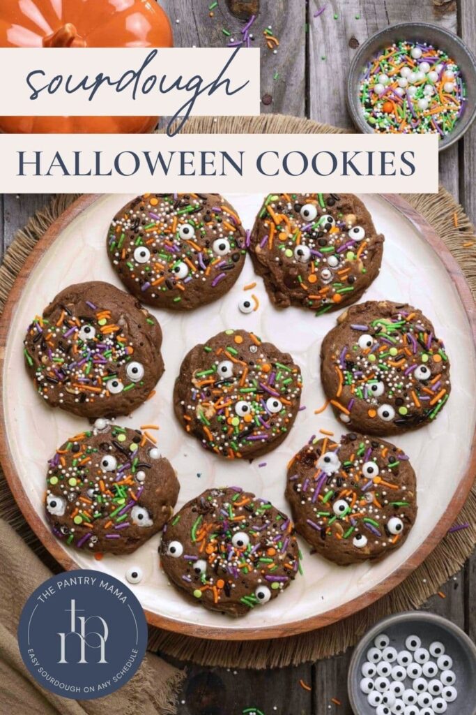 Sourdough Halloween Cookies Pinterest Pin.