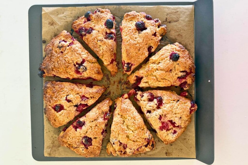 Fresh baked sourdough orange and cranberry scones on baking sheet.
