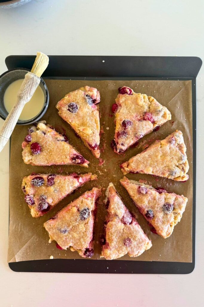 Sourdough orange and cranberry scone dough cut on baking sheet with a brush of heavy whipping cream on top.