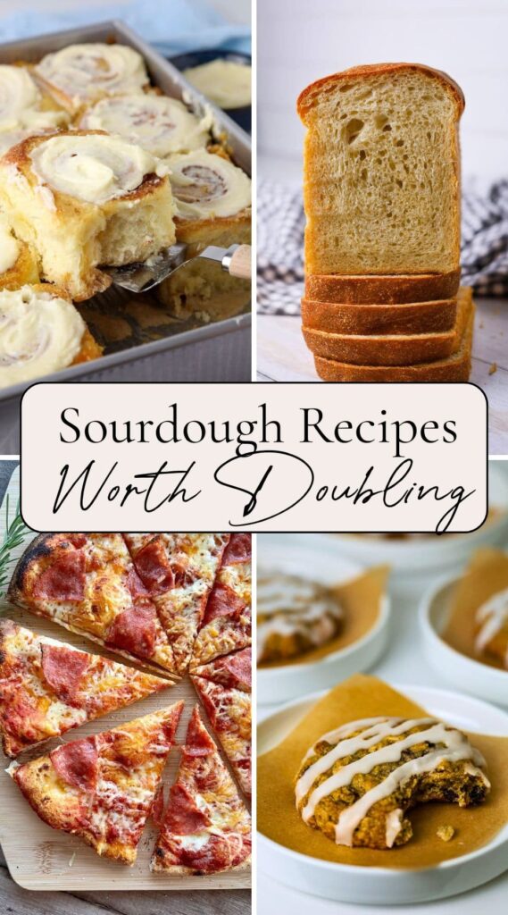 Pinterest Pin for Sourdough recipes worth doubling round up.