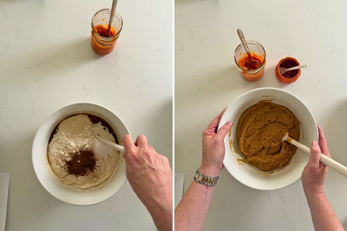 Sourdough Pumpkin Snickerdoodles - The Pantry Mama