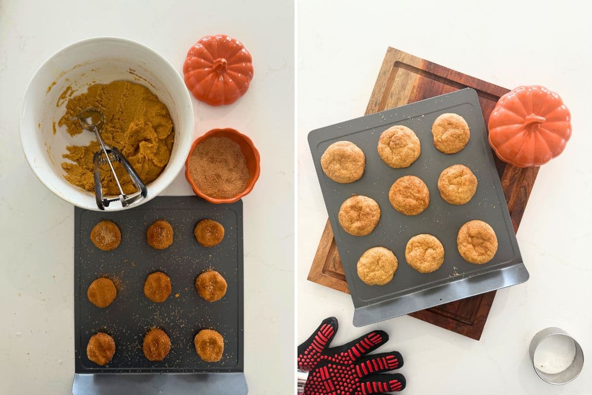 Sourdough Pumpkin Snickerdoodles - The Pantry Mama